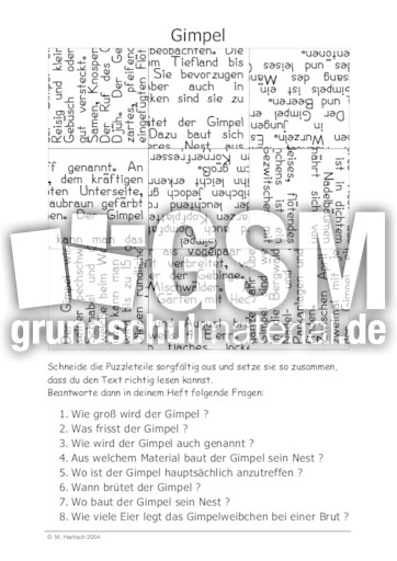 Gimpel.pdf